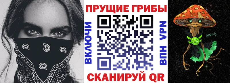 мега ТОР  купить наркотики цена  Сольцы  Псилоцибиновые грибы Psilocybe 