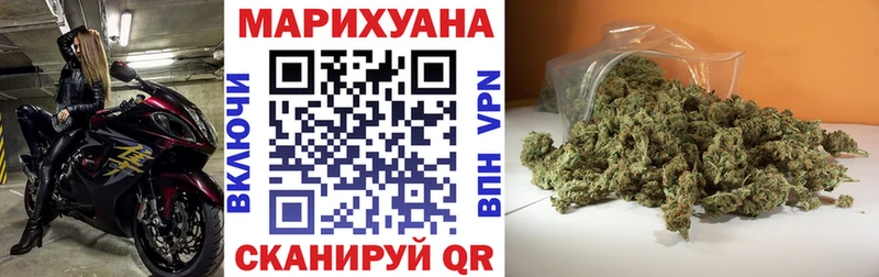 Конопля OG Kush Сольцы